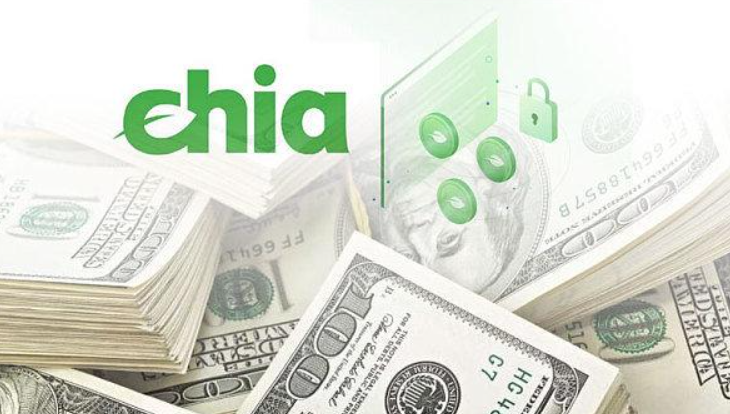 Chia節(jié)點沒有連接該如何解決？.png