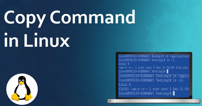 linux復(fù)制文件cp命令怎么使用？.png