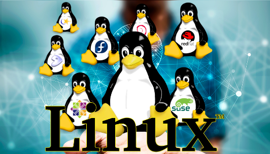 linux分區(qū)滿了怎么辦？.png